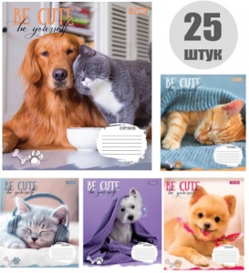  Уч Зошит 12арк# кл.1 Вересня  /766913/ "Be cute"( набір 25 шт.)--76369 фото в интернет магазине канц орг