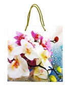  Пакет подарочный "Орхидея" ламин. 23,5*23,5*10,2см 2264 фото в интернет магазине канц орг
