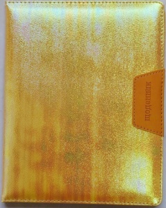  Щоденник шк SD1418, 167*211 мм, обкладинка кожзам, 48арк. фото в интернет магазине канц орг
