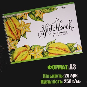  Скетчбук для маркерів на спіралі Карамболь А3 (29,7х42 см) 250 г/м.кв. 20 арк.Трек--A147 фото в интернет магазине канц орг