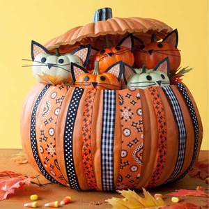 kitty-pumpkin-1-m.jpg