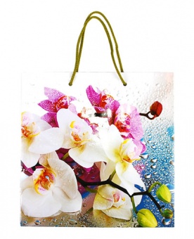 Пакет подарочный "Орхидея" ламин. 23,5*23,5*10,2см 2264 фото в интернет-магазине Канц орг