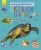 Книга "Енциклопедія дошкільника. Океани і моря" м'яка обкл. фото в интернет-магазине Канц орг