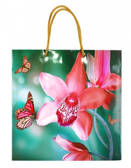 Пакет подарочный "Орхидея и бабочки" ламин. 23,5*23,5*10,2см 2262 фото в интернет-магазине Канц орг