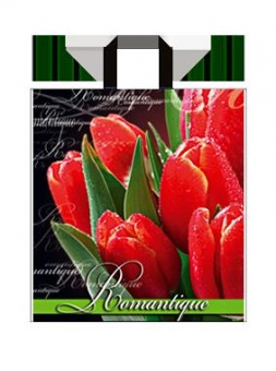 Пакет поліетиленовий з ручками "Романтика" 35х38 фото в интернет-магазине Канц орг