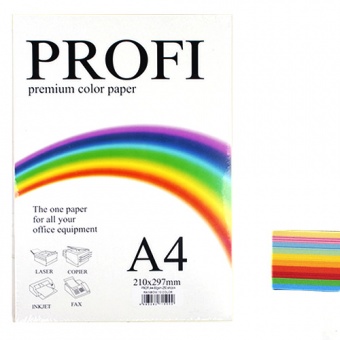 Папір кольоровий PROFI  (10 кол.) А4 , 80г/м2 , 100 аркуш. фото в интернет-магазине Канц орг